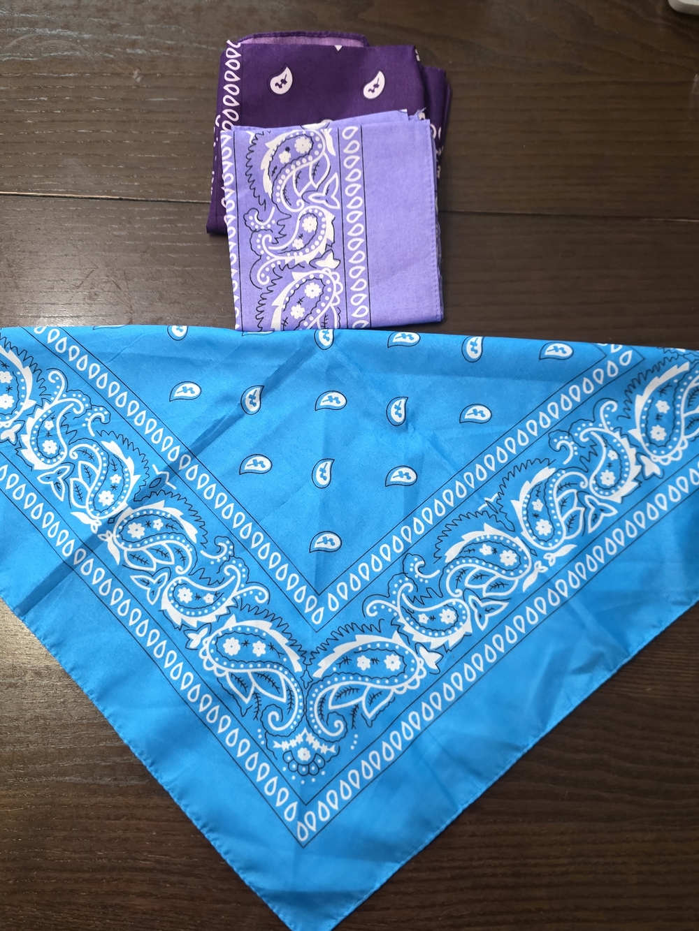 Blue Paisley Bandana Scarf - Women Accessories Hair Accessory